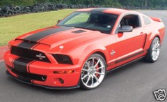 Mustang Snake Style 18″ Super Stripes 2005 2006 2007 2008 2009 Quality Stripes