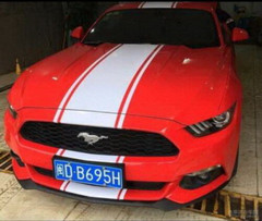 Car Decal Rally stripe 17” White Vinyl Hood Roof Rear Bumper Sticker ZC938 5pcs