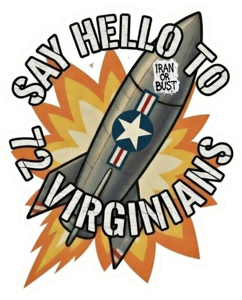 👀 IRAN or BUST MISSILE Vinyl Decal Sticker 2″-18″ You Choose Size! 🚀