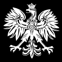 Poland Eagle Polish Symbol Vinyl Decal Sticker 6″ large silver high quality