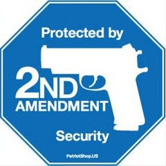 Funny Vinyl Home Security Sticker
