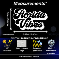 Florida Vibes Decal Sticker Vinyl Graphics – 6.5 x 3.9 inch