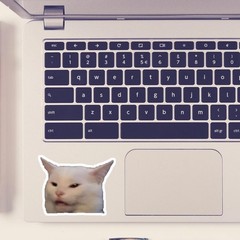 5″ Smudge The Cat Meme Sticker Decal Vinyl Bumper Sticker Waterproof Large