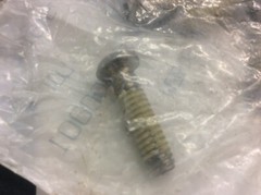 Polaris Screw 7515198 New OEM Stainless Steel 2002 Freedom PWC