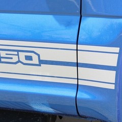 2015-2020 Ford Truck F-150 ROCKERS Vinyl Graphics Stripes 3M Decals | PDS3524