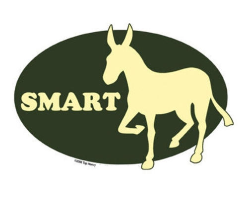 SMART ASS STICKER HUMOROUS CAR WINDOW HOTROD RATROD CUSTOM DECAL