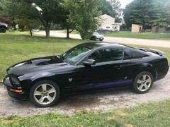 3 Horse Running Fit all Year Mustang Rocker stripes Stripe Graphics Set Decals