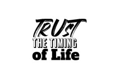 Inspirational Motivational Quotes Sticker (3 Inch) Trust The Timing Of Life !