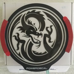 Dragon Light Up Decal Powerdecal Backlit LED Motion Sensing Auto Decal
