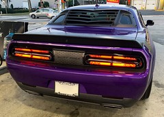 Luxe Auto Concepts 2015+ Dodge Challenger Racetrack Taillamp Decals