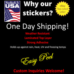 2nd Amendment Eagle USA High Quality Vinyl Sticker