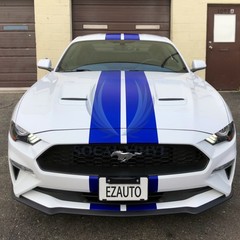 Satin Chrome Metallic Matte Racing Stripes Vinyl Wrap Rally Sticker 10/20 Long