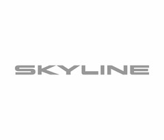 Rear Bumper Sticker Vinyl Decal Badge Silver fits Skyline R32 GTST GTR