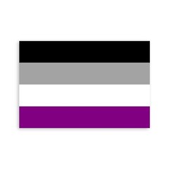 Asexual Pride Flag Sticker – [4” x 6”]