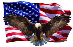 Soaring Eagle American Flag Magnet Decal