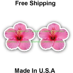 Hawaiian Hibiscus Flower (2) Pack Car Window Bumper Truck Vinyl Sticker Decal C