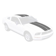 Graphic Express Lemans 12-Piece 12″ Stripe Kit Convertible Mustang 05-09 Silv…