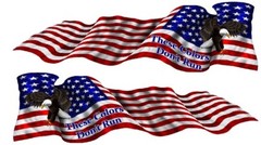 American flag eagle These Colors Don’t Run rv motorhome trailer vinyl decal set