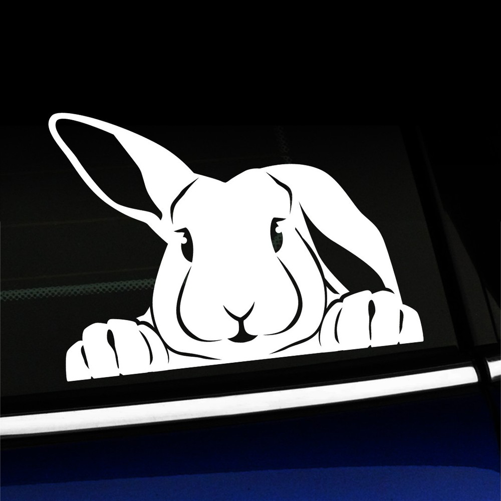 Peeking Bunny – Cute Rabbit Vinyl Indoor/Outdoor Decal – You choose the color!