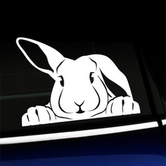 Peeking Bunny – Cute Rabbit Vinyl Indoor/Outdoor Decal – You choose the color!