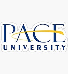 5″ Pace University Vinyl Bumper Sticker
