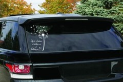 Beautiful Butterfly Dandelion Flowers for car truck laptop decal sticker 8″