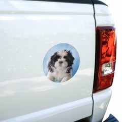 Shih Tzu Dog Black White on Blue Circle Bumper Window Sticker