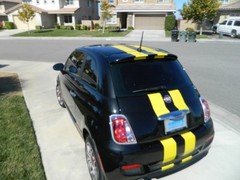 FITS All Fiats 5″ Twin Duel Vinyl Graphic Decal Sticker Racing Stripes 25 FEET