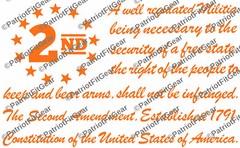 The Second Amendment,12″x7.5″,Gun Rights,Molon Labe,We The People,Vinyl Decal