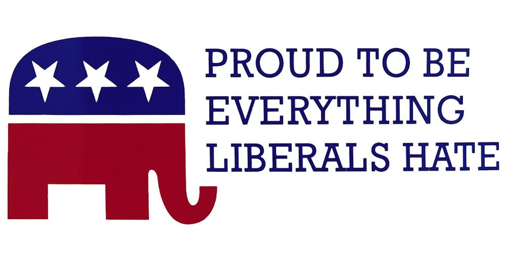Proud To Be Everything Liberals Hate White Republican Vinyl Decal Bumper Sticker