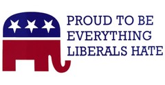 Proud To Be Everything Liberals Hate White Republican Vinyl Decal Bumper Sticker