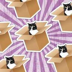 Cat in a Box Sticker: Tuxedo Cat Decal: