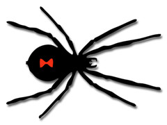 3×4 inch Black Widow Shaped Sticker spider decal bumper car vehicle animal bug