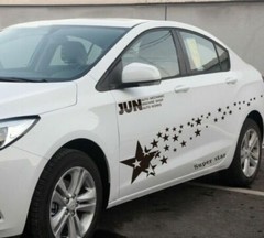 2pc Car Side Door Fender Skirt Star Stripes Racing Vinyl Decal Stickers Graphic
