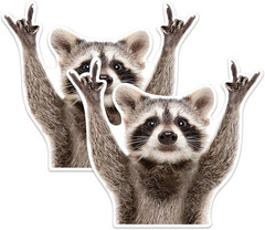 Rocking Raccoon Car Sticker Vinyl Decal 5.11 x 4.1 inches Waterproof Cute