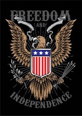 AMERICAN EAGLE FREEDOM INDEPENDENCE + Vynil Decal 6 Years + Resistance Stickers