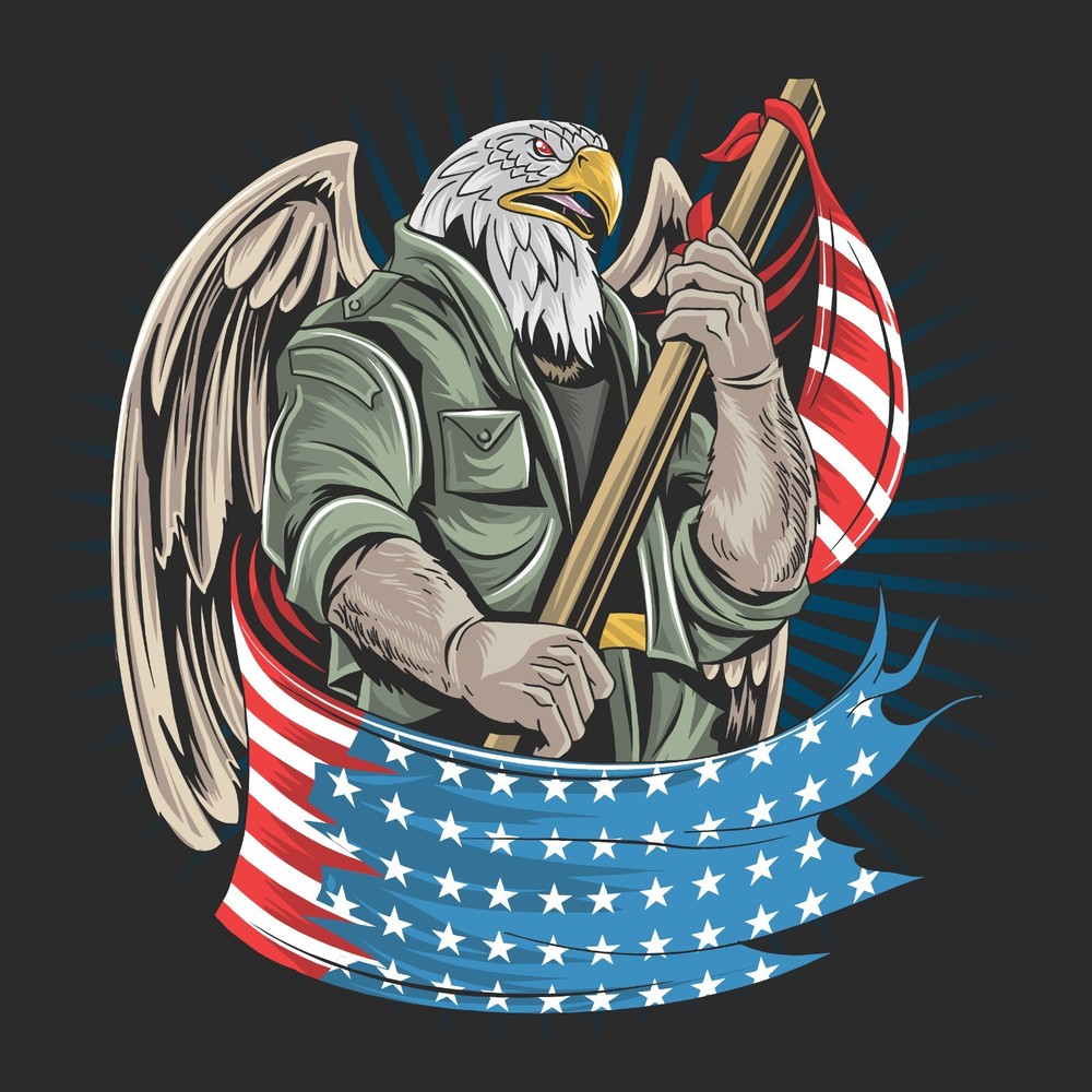 USA The American Bald Eagle American Flag Decal 6 Years LAMINATED CAR FREE STIC