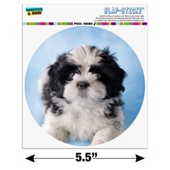 Shih Tzu Dog Black White on Blue Circle Bumper Window Sticker