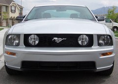 2005-2009 Ford Mustang Front Bumper Insert- Decal Sticker Vinyl Graphics Lower