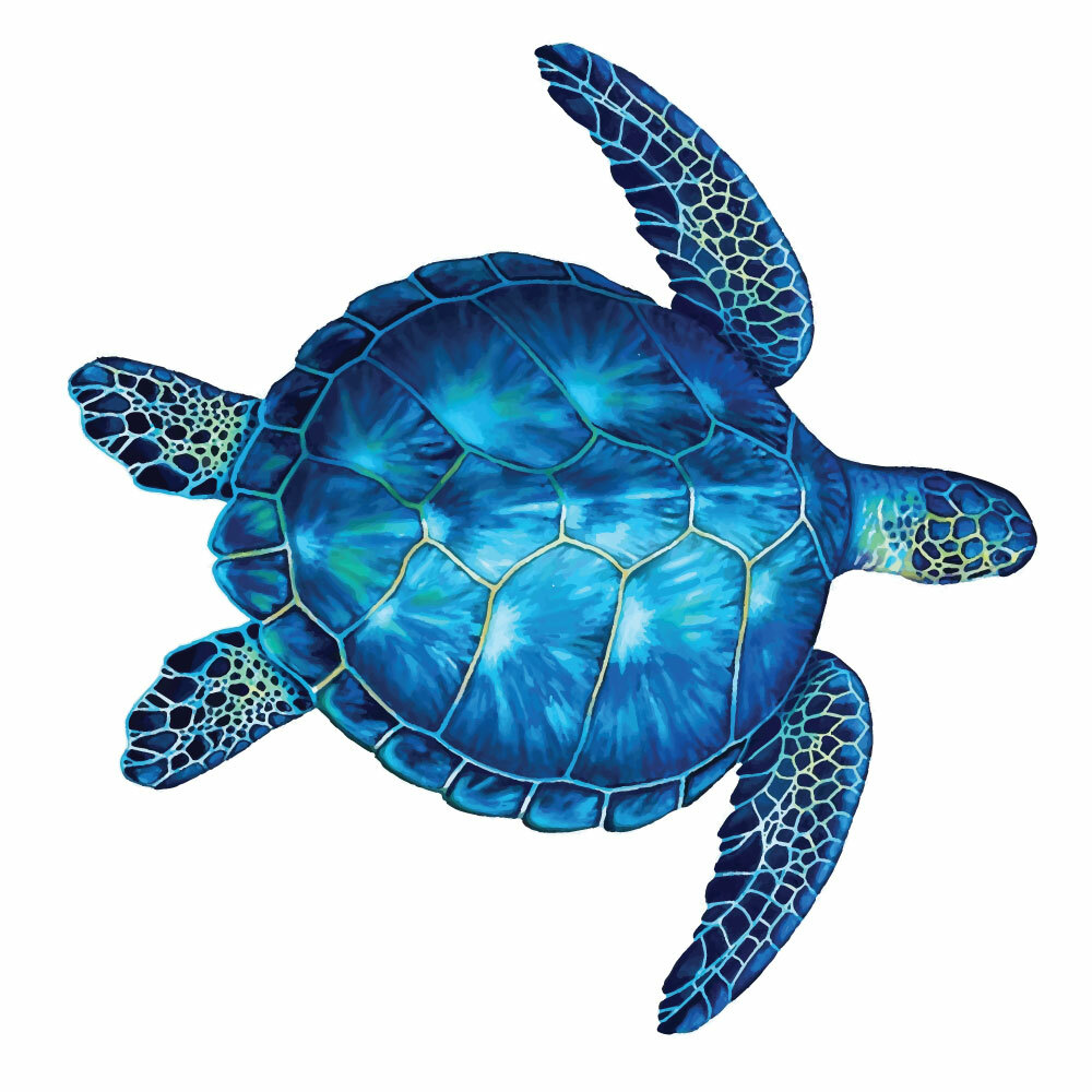 900mm Turtle Decal Sticker for vehicle, boat , motorhome, truck, trailer, car st