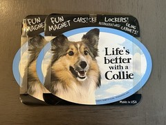 “Life’s better with a Collie ” Vehicle Magnet • 4″x6″ • New