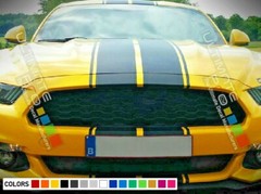 Rocker Stripe for Ford Mustang GT500 ecoboost 2014 2015 2016 2017 2018 2019 2020