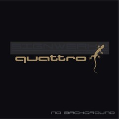 Audi Gecko quattro decal Sticker EURO Racing mod A4 S4 S3 TT R8 A6 Q5 Pair