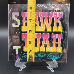 Hawk Tuah Spit on that Thang 2 Decals Removable Use on Any Smooth Surface Spirit