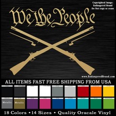 WE The People Muskets Constitution patriotic,