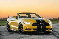 Black Double Racing Stripe Full Body Hood to Roof Sticker Decal for Ford Mustang
