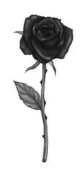 Black Rose Sticker (set of 2) 4 Inch Flower Goth Dark