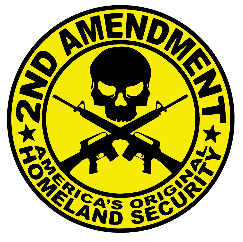 2nd Amendment NRA Constitution Laptop Skin Truck Bumper Decal #RS18