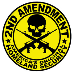 2nd Amendment NRA Constitution Laptop Skin Truck Bumper Decal #RS18