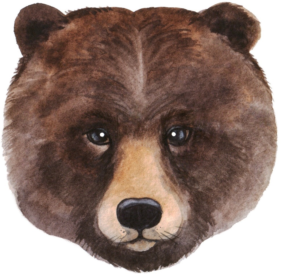 4” Grizzly Bear Sticker Roar WaterColor Brown Outdoors Woods Wilderness Hunt
